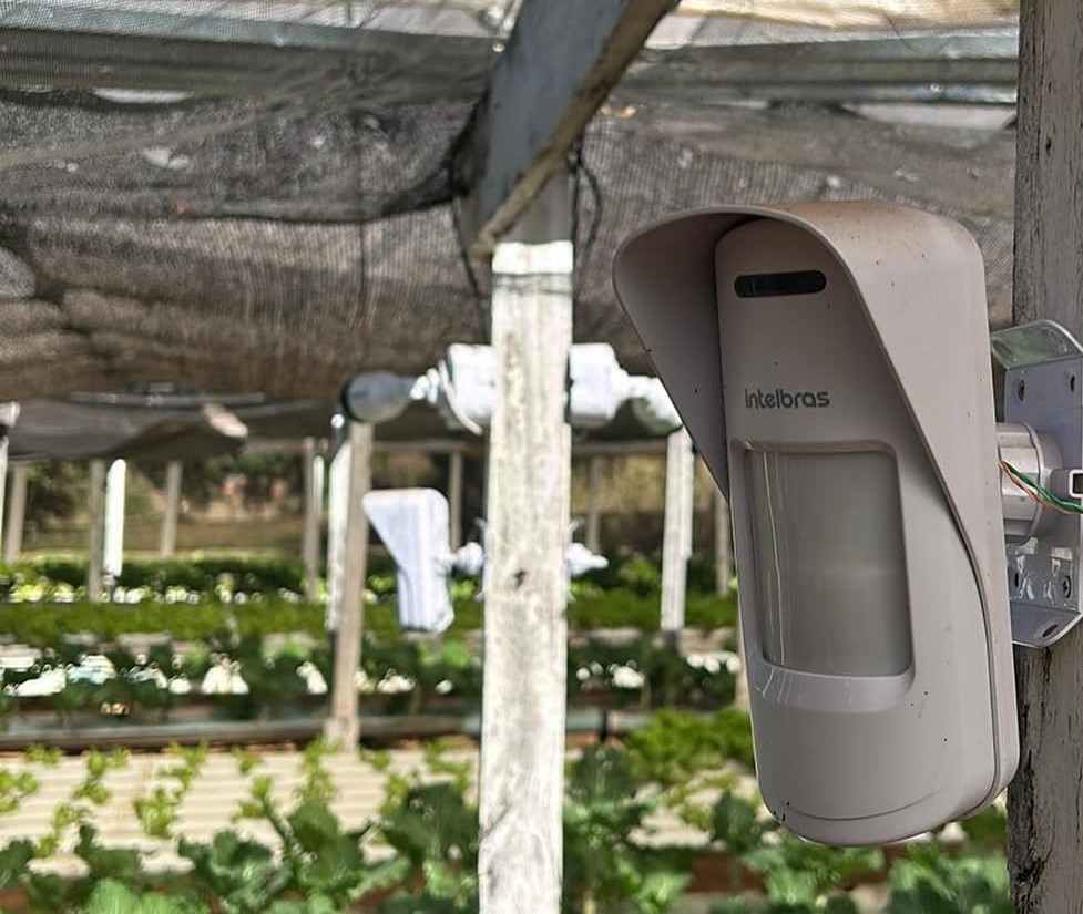 Serviço de Segurança 1